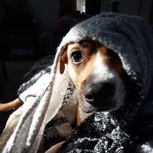 Meet your Posher, Jillian